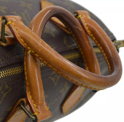 Louis Vuitton Speedy 25 - The ultimate urban icon